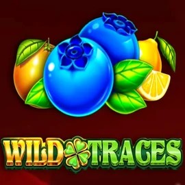 Wild Traces logo by Amusnet Interactive at WildHub Casino
